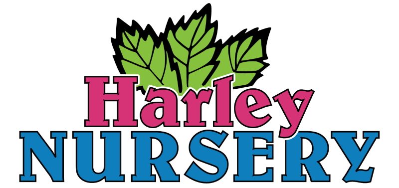 Harley Nursery